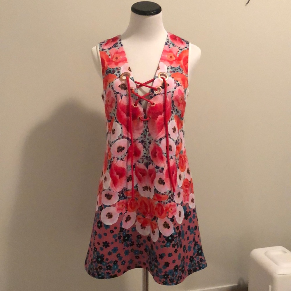 Never worn clover canyon dress!